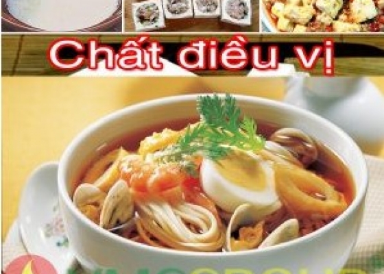 CHẤT ĐIỀU VỊ IG FUJIMORI || TẠO VỊ NGỌT 