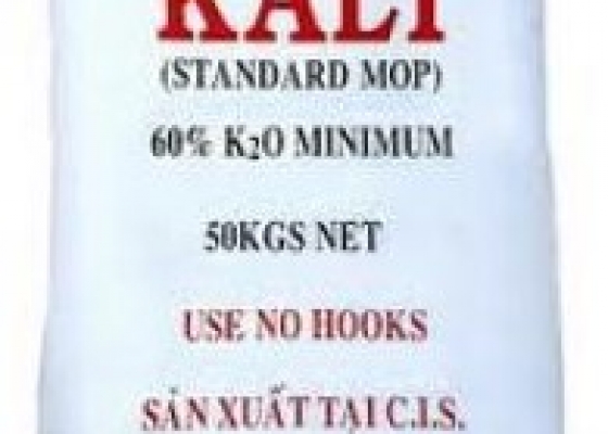 KALI CLORUA || KCl || HÓA CHẤT CÔNG NGHIỆP