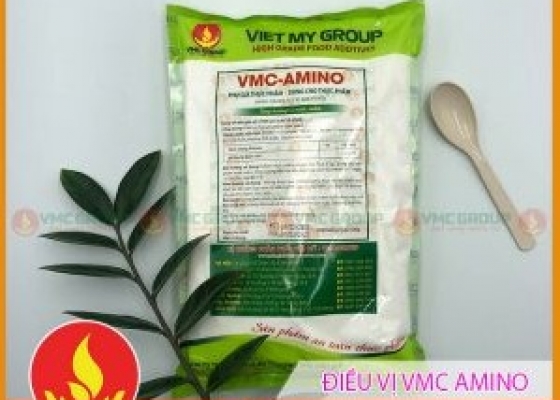 CHẤT ĐIỀU VỊ THAY THẾ MỲ CHÍNH || VMC AMINO || PHỤ GIA THỰC PHẨM