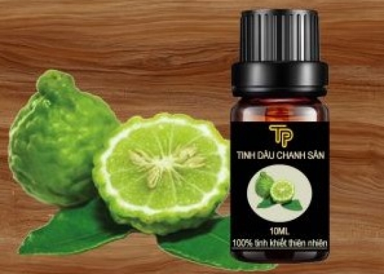 TINH DẦU CHANH SẦN TỰ NHIÊN