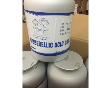 AXIT GIBBERELLIC || GIBBERELLIC ACID GA3 || HÓA CHẤT CÔNG NGHIỆP