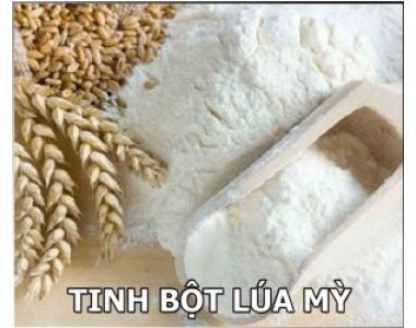 TINH BỘT LÚA MÌ || PHỤ GIA THỰC PHẨM