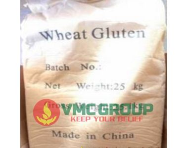 WHEAT GLUTEN || CHẤT KẾT DÍNH || PHỤ GIA THỰC PHẨM